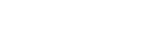 INS logo